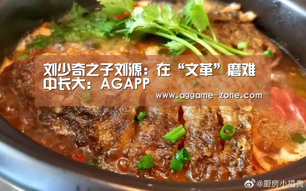 AG入口