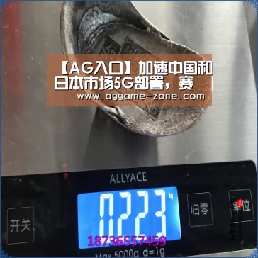 【AG入口】加速中国和日本市场5G部署,赛灵思公布全新ZynqUltrascale+射频芯片平台(图3) AG入口