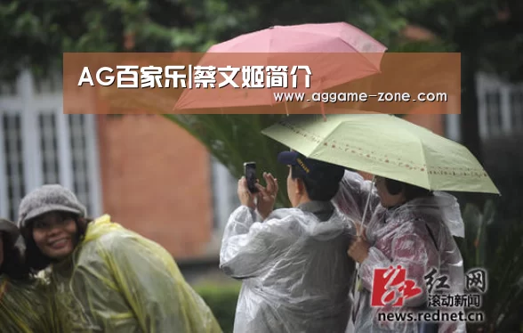 AG百家乐|蔡文姬简介(图2) AG真人